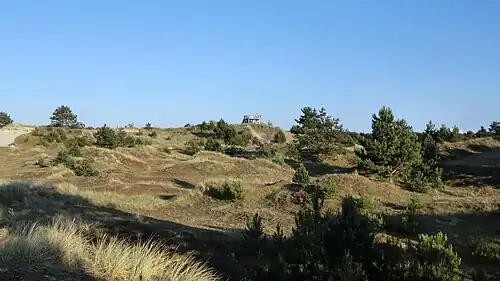 Maleens Knoll und Umgebung vor dem Neubau der Aussichtsplattform
