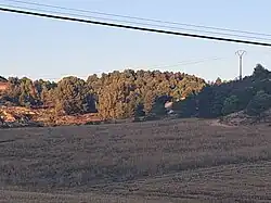Wald an der Nordwestseite des Höhenzuges aus einiger Entfernung betrachtet