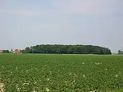 Unmittelbar an der Ortschaft liegt der Stockhauser Busch