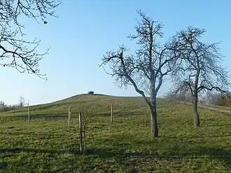 Blick auf den Falkenberg