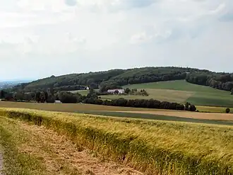Blick vom Dornberg westnordwestwärts zum Homberg