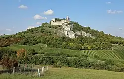 Burg Falkenstein (Niederösterreich)