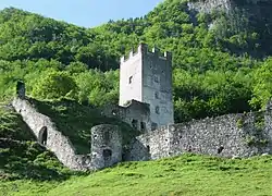 Burgruine Unter-Falkenstein