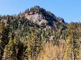 Falkenwand aus dem Schronbachtal