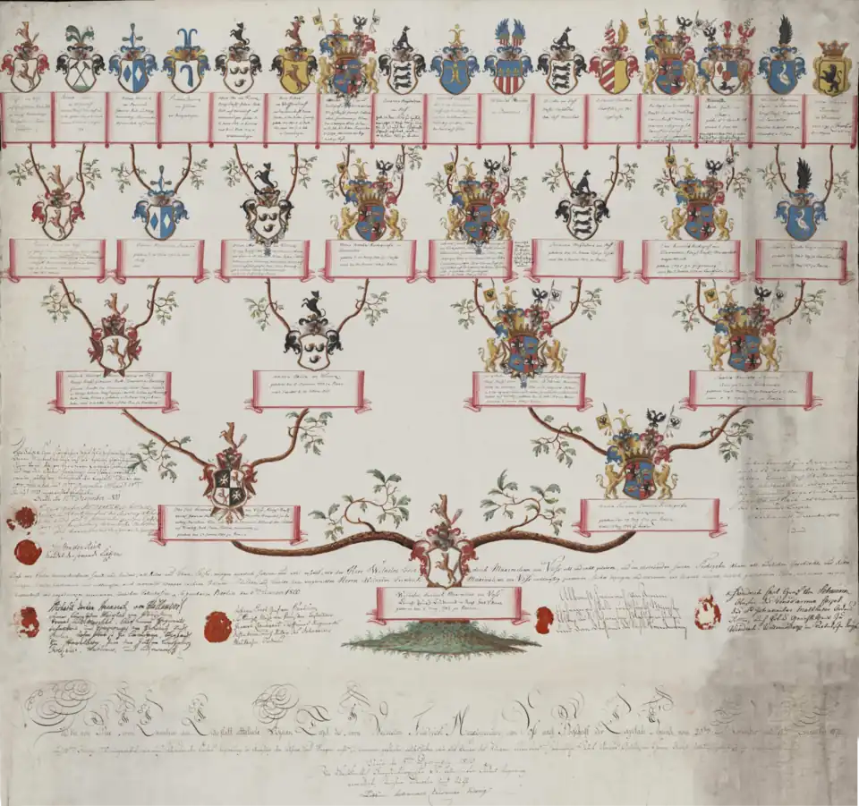 Familienstammbaum des mecklenburgischen Adelsgeschlechts von Voß; konkreter: Ahnentafel in schmuckhafter Baumgrafik (Adelsprobe mit Ahnenwappen) für den Probanden Friedrich Wilhelm Maximilian (* 3. Mai 1782; † 28. Februar 1847), seit dem 15. Oktober 1840 1. Graf von Voß-Buch, Sohn des preußischen Geheimen Staatsministers Otto Carl Friedrich von Voß und der Maria Susanna Carolina, geb. Gräfin Finck von Finckenstein; Enkel des Friedrich Christoph Hieronymus von Voß.