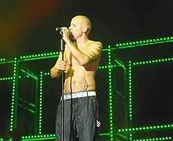 Szene vom Auftritt der Fantastischen Vier (2010)