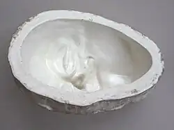 Eine Gipsnegativform für das Kaschieren