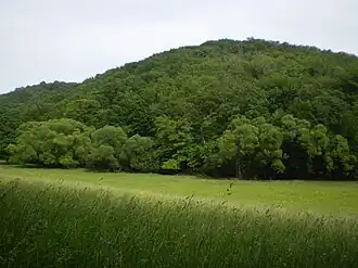 Blick von Westen auf den Faßlberg