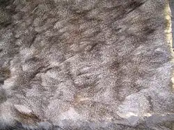 Halbfertigprodukt aus Fehkehlen, Haarseite