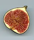 Reife Feige (Längsschnitt)