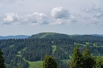 Die Grafenmatt mit Abfahrtschneisen zwischen dem Herzogenhorn (hinten) und dem Seebuck (Bildstandort)