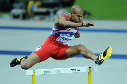 Der zweifache Weltmeister (2001/2003) und aktuelle Olympiasieger Félix Sánchez trat hier verletzungsbedingt nicht in der großen Form vergangener Jahre an und erreichte nicht das Ziel – er kam allerdings später wieder gestärkt&nbsp;zurück