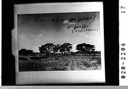 Oas-Feste (im Hintergrund)