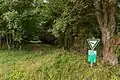 Weg durch das Naturschutzgebiet
