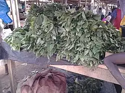 Hibiskusblätter (siehe auch Gewürz)