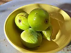 Feigen der Sorte Goldtropfen (Dorée)