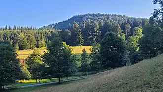 Finkenbuschkopf von Norden, gesehen von Dörnbach