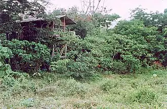 Mirador Gästehaus im Lobéké-Nationalpark
