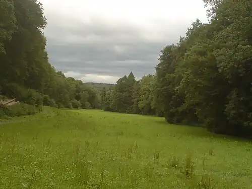 Im unteren Abschnitt des Fischbachtals