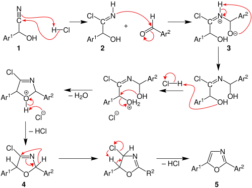 Mechanismus der Fischer-Oxazolsynthese