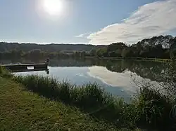 Fischteich Mischendorf