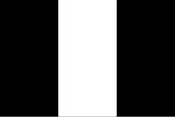 Flagge des Ortes Borssele