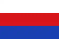 Flagge des Protektorats