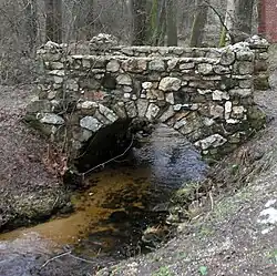 Erste Brücke über den Fleißenbach im Kurpark von Bad Brambach