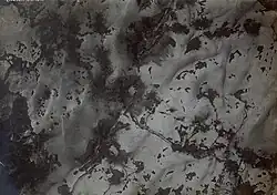 k.u.k. Fliegeraufnahme vom Winter 1917/18. In der Bildmitte oben die österreichische Platte darunter der Eselsrücken, die italienische Platte vor der Sprengung vom 13. März 1918 und die Cima Palon