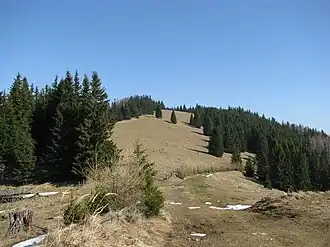 Gipfelwiese am Floning