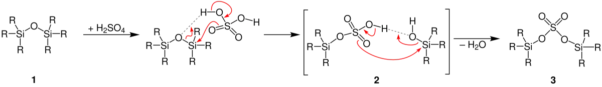 Flood-Reaktion Mechanismus1