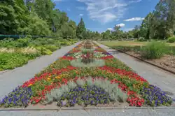 Blumenbeet (Wechselflor)