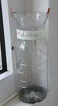 PET-Flasche als Fliegenfänger