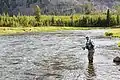 Fliegenfischer im Madison River