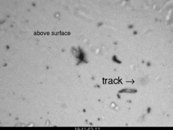 Aufnahme einer Partikelspur im Aerogel
