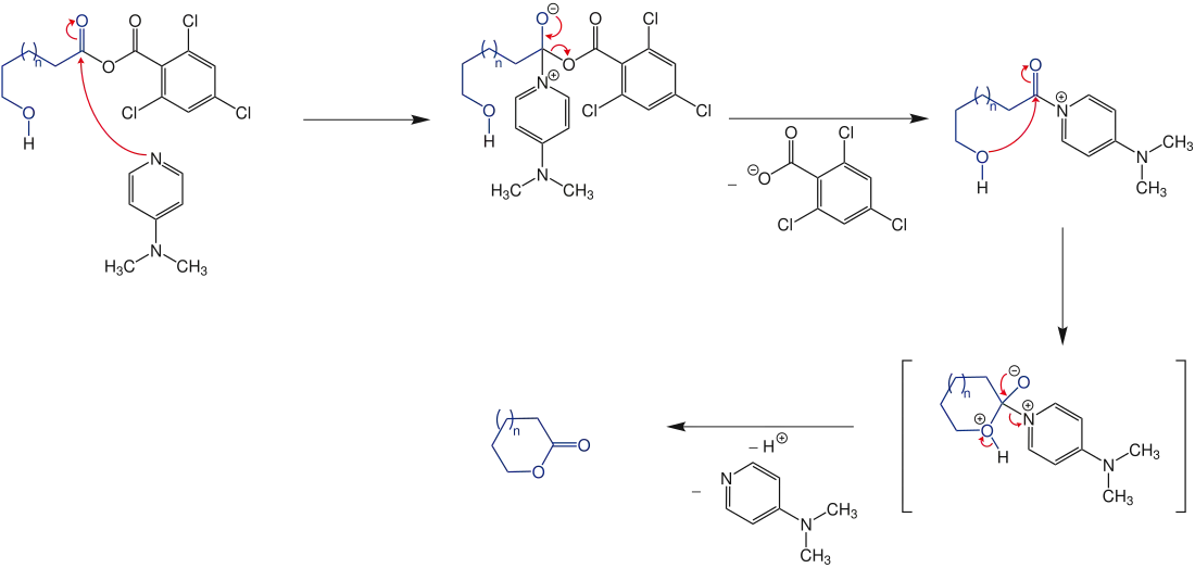 Bildung des Makrolaktons