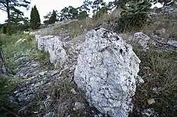 Fornborg von Lickershamn