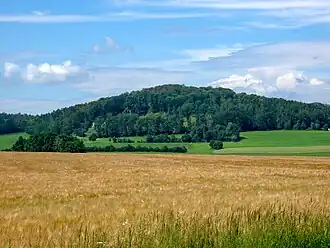 Die Westseite des Forstenbergs.