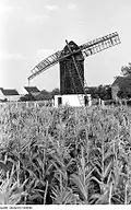 Bockwindmühle Pömmelte, 1973