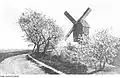 Historische Bockwindmühle