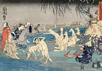 Füchse, die trainiert werden, sich zu verwandeln