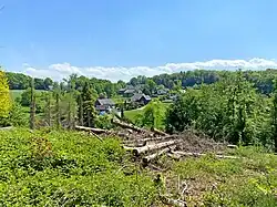 Blick vom NSG Richtung Frangenberg