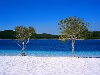 Lake McKenzie auf K’gari (Fraser Island) in Queensland