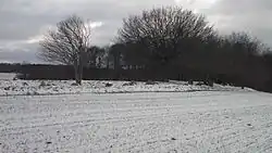 Frellesvig Langdysse