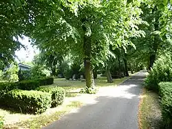 Friedhof Priesterweg Hauptweg