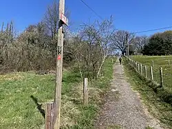 Wanderweg durch Friedrichshöhe