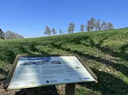 Streuobstwiese am Obstweg