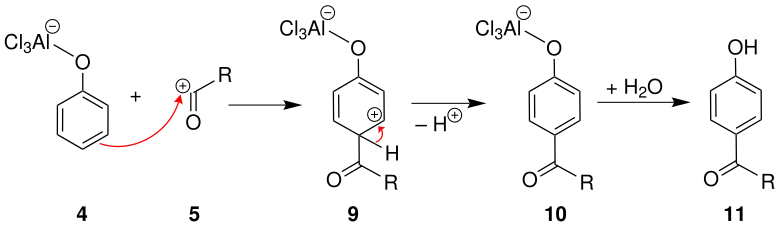 Mechanismus 3 der Fries-Umlagerung