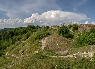 Blick von Norden auf die Friesener Warte, 2011