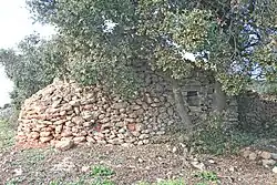 Capitelle oder Cabane